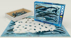 Puzzle: Animal Charts - Whales & Dolphins - for just $19.99! 