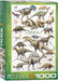 Puzzle: Natural History Charts - Dinosaurs - for just $19.99! 