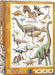 Puzzle: Natural History Charts - Dinosaurs of the Jurassic Period - for just $19.99! 