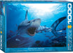 Puzzle: Animal Life Photography - Hungry Shark - for just $19.99! 