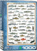 Puzzle: Animal Charts - Freshwater Fish - for just $19.99! 