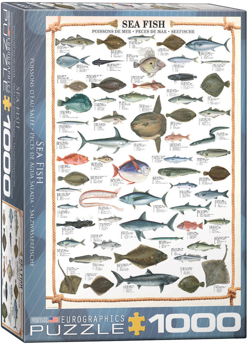 Puzzle: Animal Charts - Sea Fish - for just $19.99! 