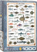 Puzzle: Animal Charts - Sea Fish - for just $19.99! 