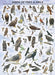 Puzzle: Animal Charts - Birds of Prey and Owls - for just $19.99! 