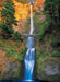 Puzzle: Scenic Photography - Multnomah Falls - Oregon - for just $19.99! 