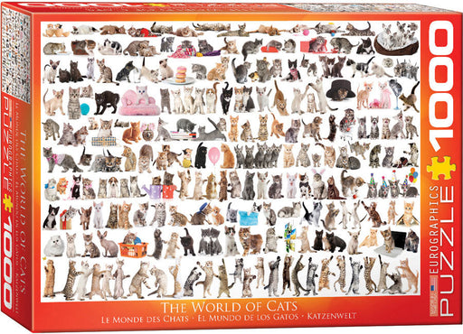Puzzle: Animal Charts - The World of Cats - for just $19.99! 