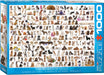 Puzzle: Animal Charts - The World of Dogs - for just $19.99! 