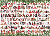 Puzzle: Animal Charts - Holiday Dogs - for just $19.99! 
