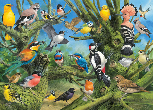 Puzzle: Artist Series - Garden Birds - for just $19.99! 
