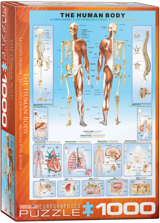Puzzle: History & General Interest - The Human Body - for just $19.99! 