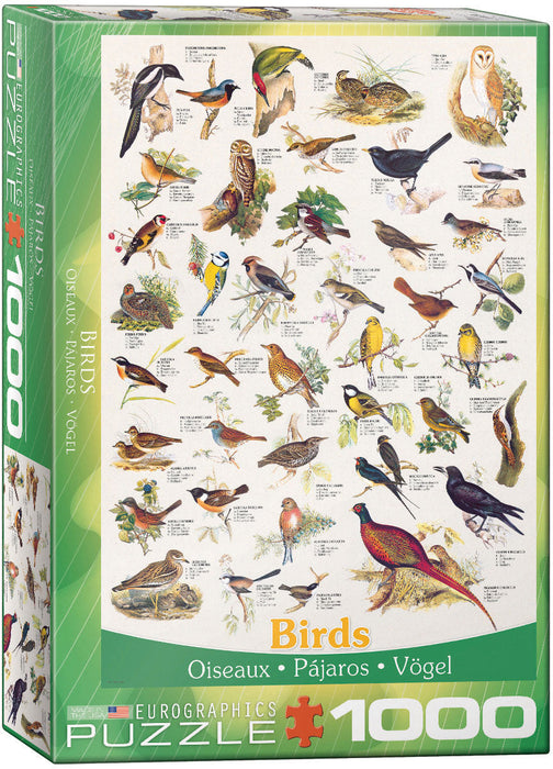 Puzzle: Animal Charts - Birds - for just $19.99! 
