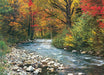 Puzzle: Scenic Photography - Forest Stream - for just $19.99! 