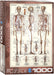 Puzzle: Anatomy & Science Charts  - The Skeletal System - for just $19.99! 