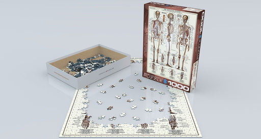 Puzzle: Anatomy & Science Charts  - The Skeletal System - for just $19.99! 