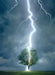 Puzzle: Scenic Photography - Lightning Striking Tree - for just $19.99! 