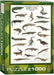 Puzzle: Animal Charts - Crocodiles and Alligators - for just $19.99! 