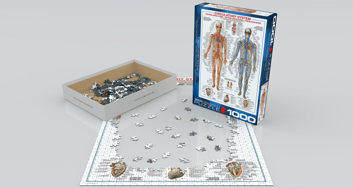 Puzzle: History & General Interest - Circulatory System - for just $19.99! 