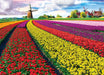 Puzzle: HDR Photography - Tulip Field - Netherlands - for just $19.99! 