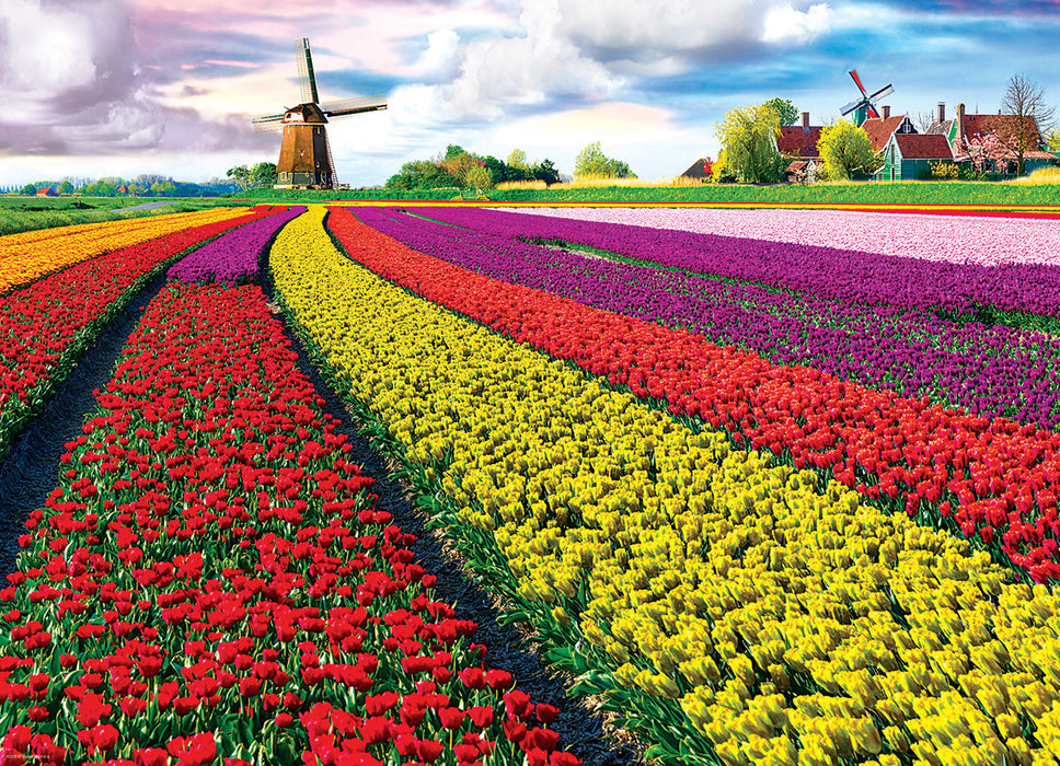 Puzzle: HDR Photography - Tulip Field - Netherlands - for just $19.99! 