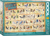 Puzzle: Great American Outdoors - State Birds - for just $19.99! 