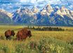 Puzzle: HDR Photography - Grand Teton National Park - for just $19.99! 