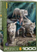 Puzzle: Artist Series -  The Power of Three by Anne Stokes - for just $19.99! 