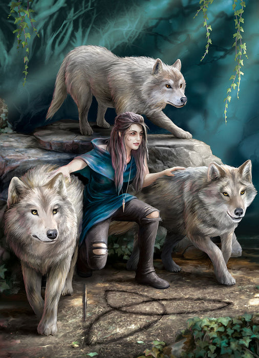 Puzzle: Artist Series -  The Power of Three by Anne Stokes - for just $19.99! 