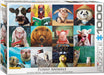 Puzzle: Artist Series - Funny Animals - for just $19.99! 