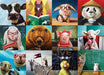 Puzzle: Artist Series - Funny Animals - for just $19.99! 