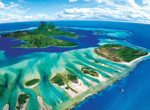 Puzzle: Save Our Planet Puzzles - Coral Reef - for just $19.99! 