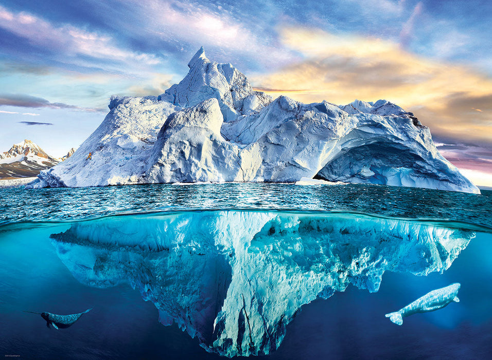 Puzzle: Save Our Planet Puzzles - Artic - for just $19.99! 