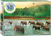 Puzzle: Save Our Planet Puzzles - Rainforest - for just $19.99! 
