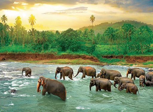 Puzzle: Save Our Planet Puzzles - Rainforest - for just $19.99! 