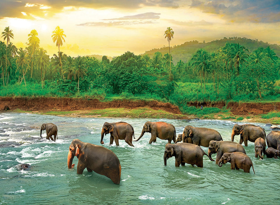 Puzzle: Save Our Planet Puzzles - Rainforest - for just $19.99! 
