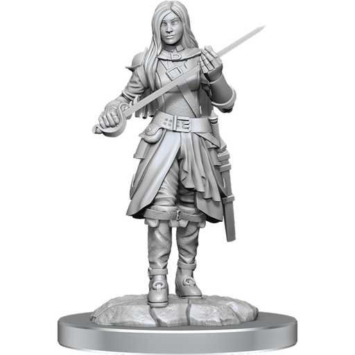 D&D Nolzur's Marvelous Miniatures: Half-Elf Rogue Female - for just $5.99! 