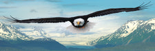 Puzzle: Panoramic Puzzles - Eagle - for just $19.99! 