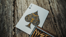 Dystopia Playing Cards - for just $25.99! 