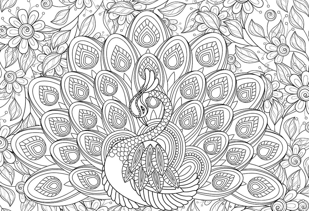 Puzzle: Color-Me Collection - Majestic Feathers - for just $16.99! 