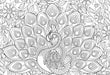 Puzzle: Color-Me Collection - Majestic Feathers - for just $16.99! 