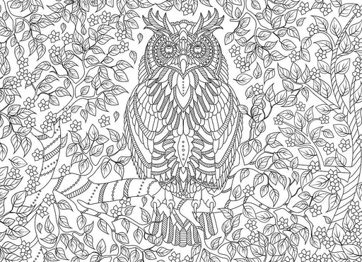 Puzzle: Color-Me Collection - Vibrant Wisdom - for just $17.99! 