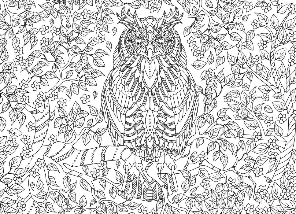 Puzzle: Color-Me Collection - Vibrant Wisdom - for just $17.99! 