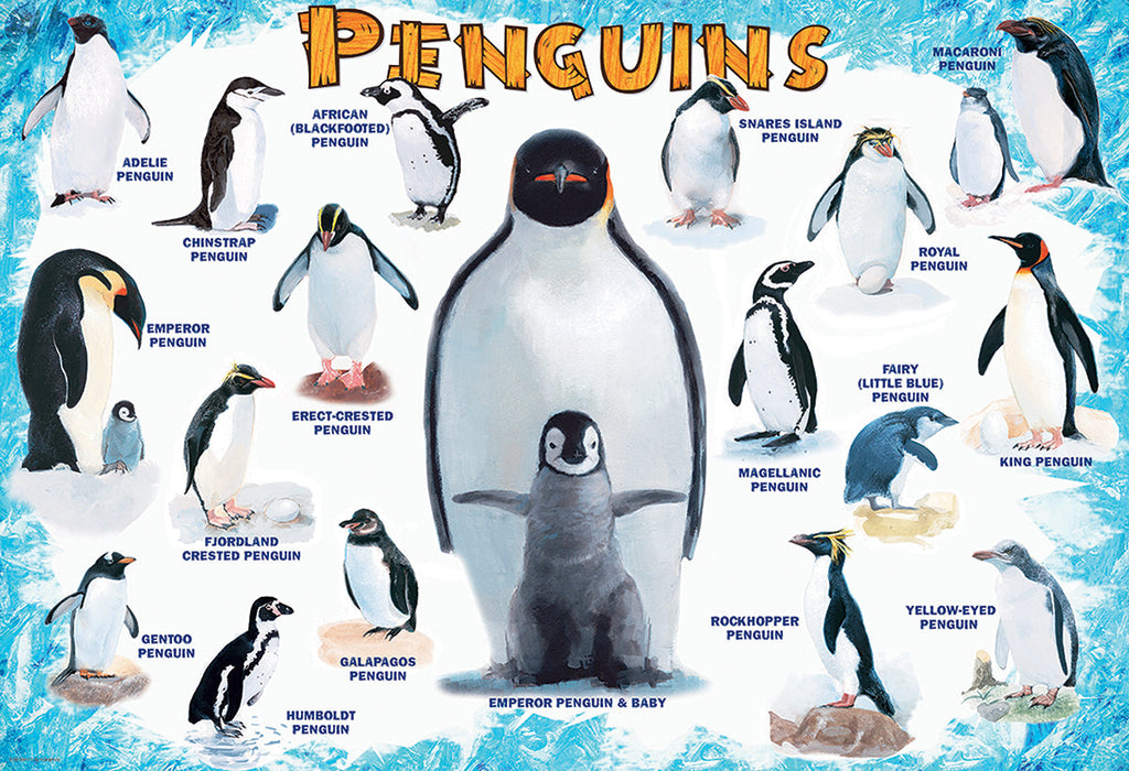 Puzzle: Educational Charts for Kids - Penguins - for just $10.99! 