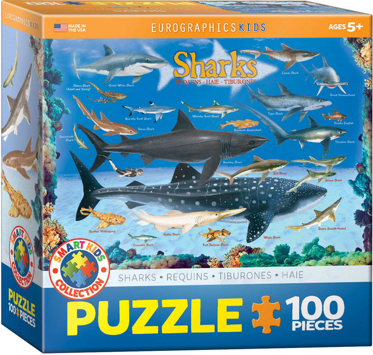 Puzzle: Educational Charts for Kids - Sharks - for just $10.99! 