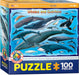 Puzzle: Educational Charts for Kids - Whales & Dolphins - for just $10.99! 