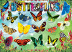 Puzzle: Educational Charts for Kids - Garden Butterflies - for just $10.99! 