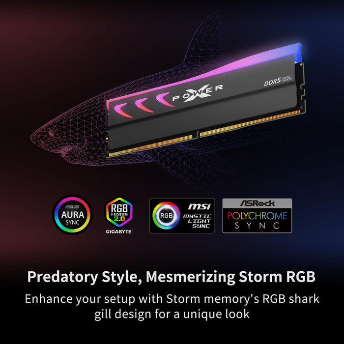 Silicon Power Storm RGB DDR5 6000MT/s (PC5-48000) CL36 16GB(1x16GB) 1.35V Desktop Unbuffered DIMM - for just $213.97! 