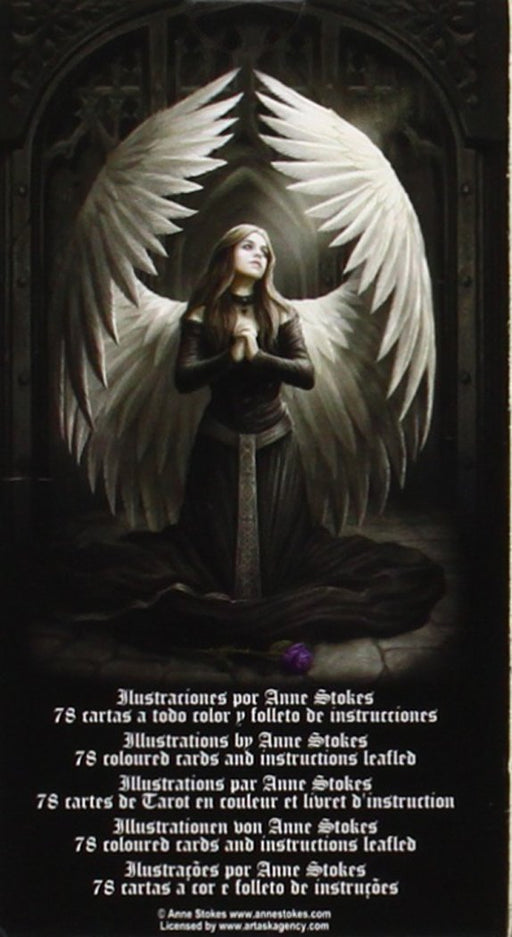 Anne Stokes Gothic Tarot Deck - for just $19.99! 