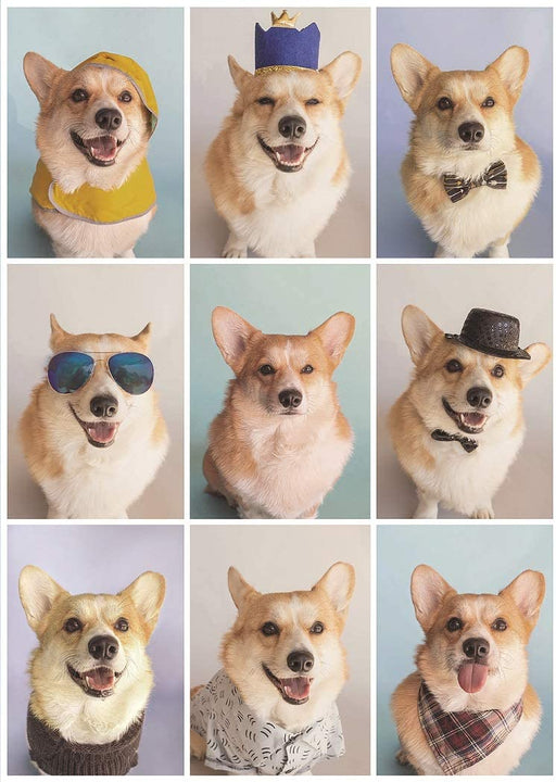 Jeneral Collectives: wholesome times - Incorgnito 1000 Piece Jigsaw Puzzle - for just $24.99! 