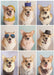 Jeneral Collectives: wholesome times - Incorgnito 1000 Piece Jigsaw Puzzle - for just $24.99! 