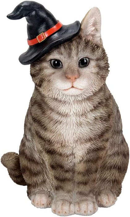 Gray Tabby Wizard - for just $28.99! 